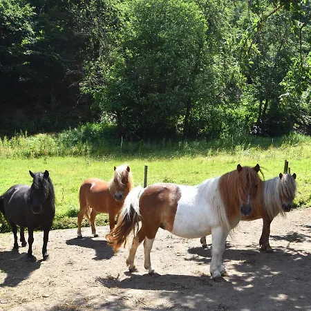 In Huddingen Mit Terrasse * Bad Wildungen