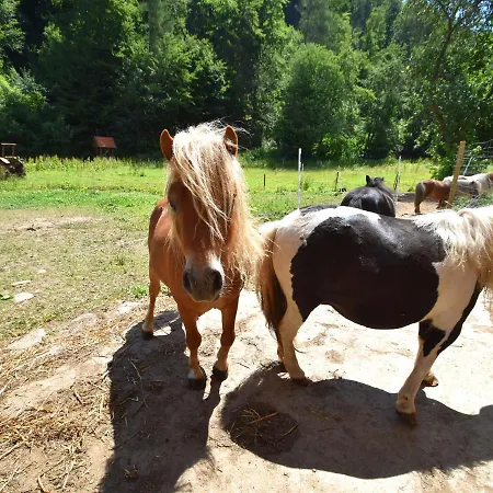 Apartament In Huddingen Mit Terrasse *