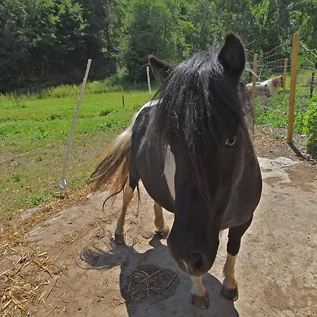 Apartamento In Huddingen Mit Terrasse *