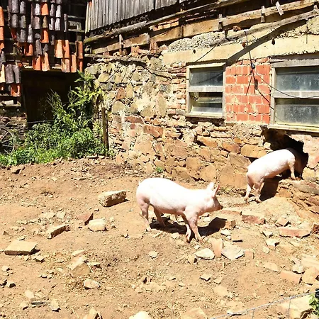 In Huddingen Mit Terrasse Bad Wildungen