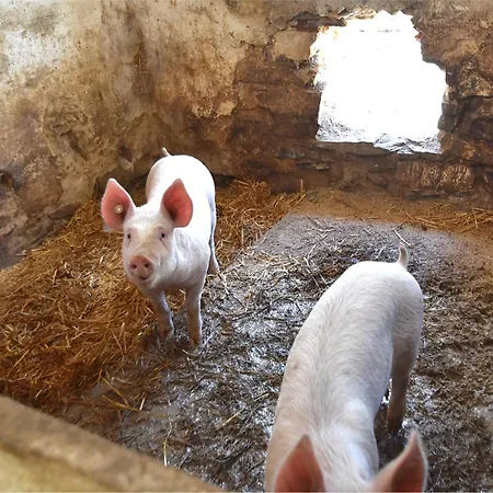 Apartament In Huddingen Mit Terrasse