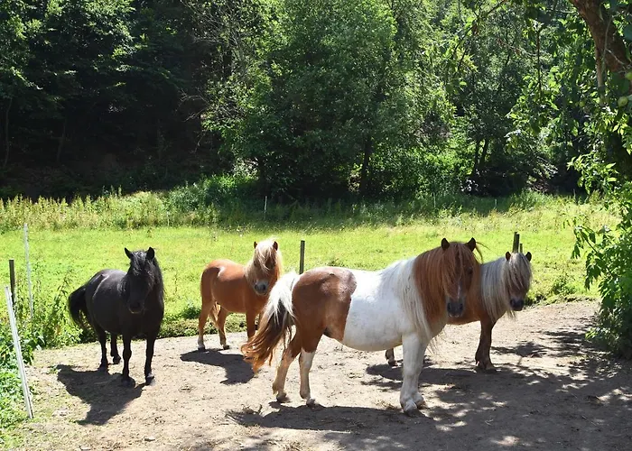 In Huddingen Mit Terrasse * באד ווילדונגן