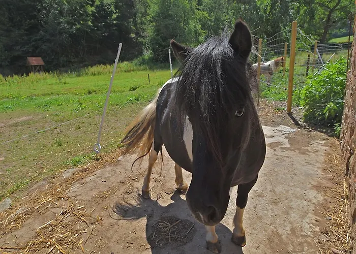 Apartamento In Huddingen Mit Terrasse *