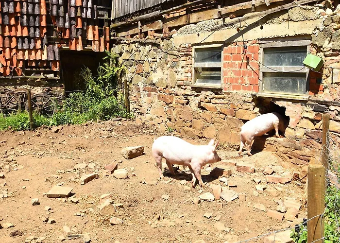 In Huddingen Mit Terrasse Bad Wildungen