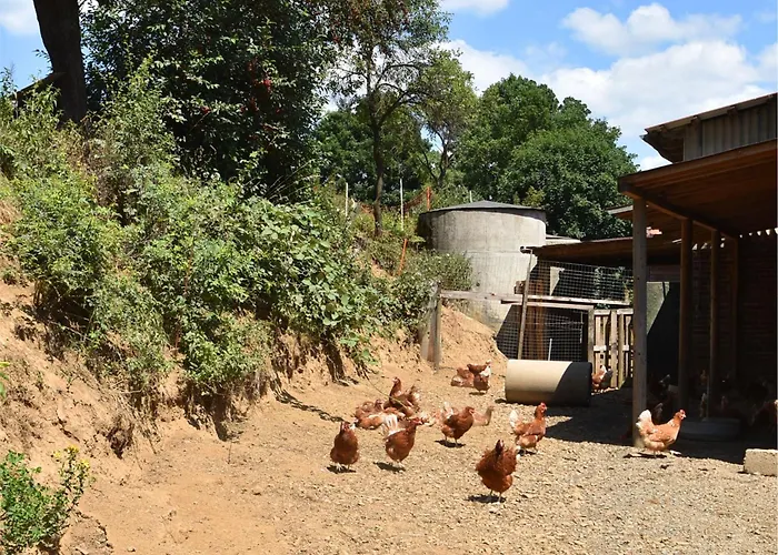 In Huddingen Mit Terrasse * Bad Wildungen