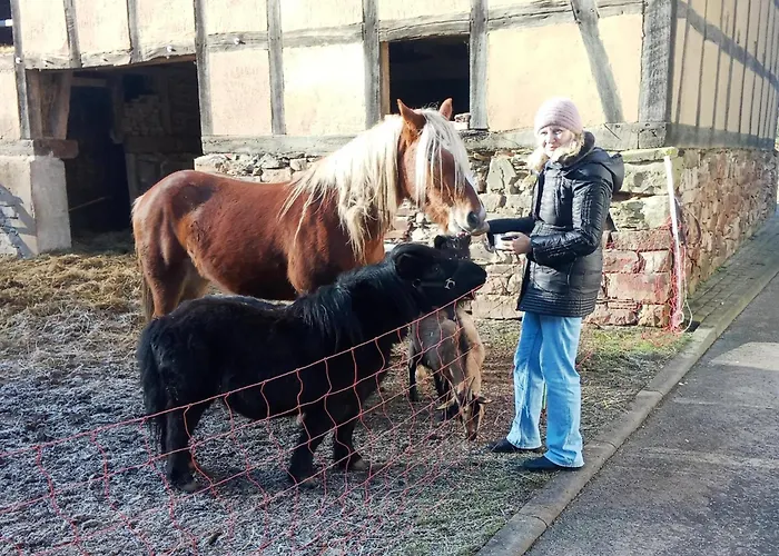 Apartamento In Huddingen Mit Terrasse Bad Wildungen